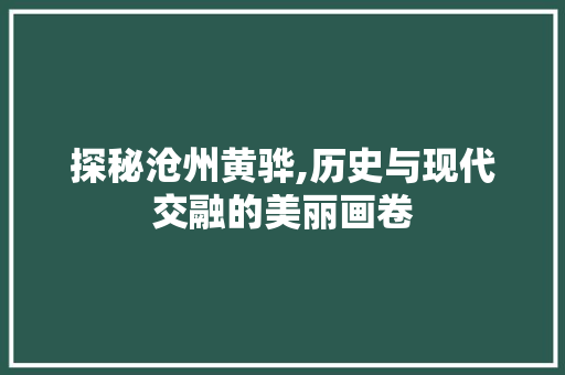 探秘沧州黄骅,历史与现代交融的美丽画卷