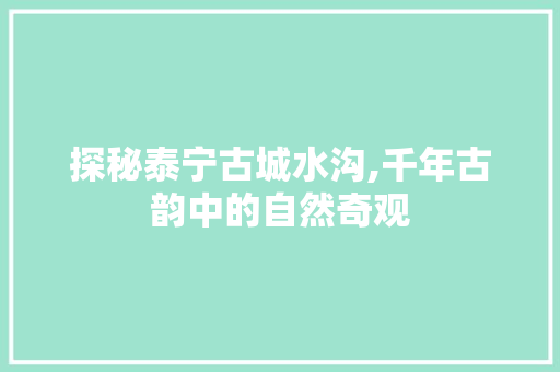 探秘泰宁古城水沟,千年古韵中的自然奇观