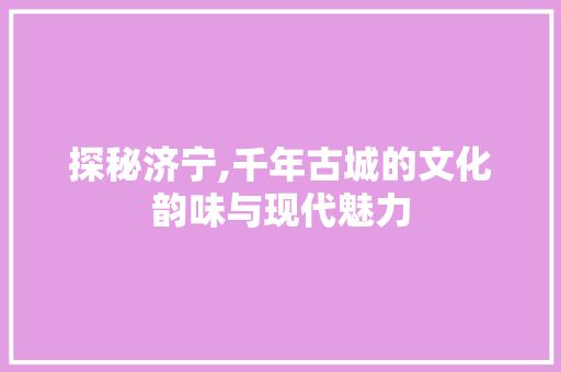 探秘济宁,千年古城的文化韵味与现代魅力