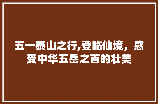 五一泰山之行,登临仙境，感受中华五岳之首的壮美