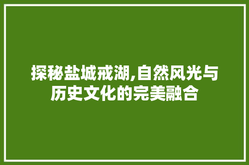 探秘盐城戒湖,自然风光与历史文化的完美融合