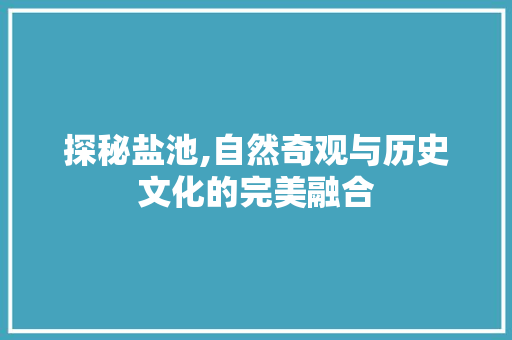 探秘盐池,自然奇观与历史文化的完美融合