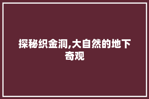 探秘织金洞,大自然的地下奇观