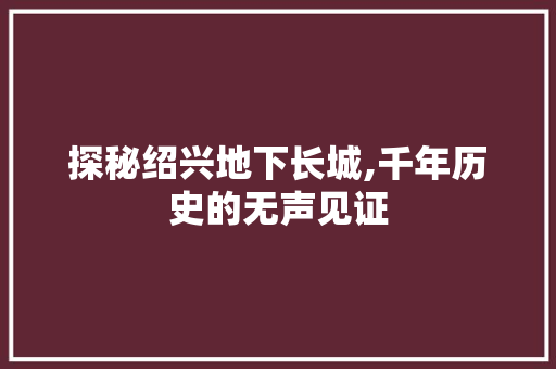 探秘绍兴地下长城,千年历史的无声见证