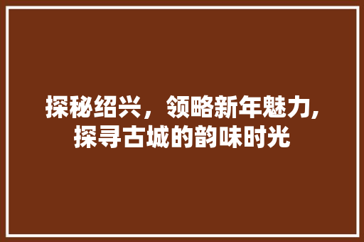 探秘绍兴，领略新年魅力,探寻古城的韵味时光