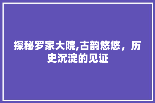 探秘罗家大院,古韵悠悠，历史沉淀的见证