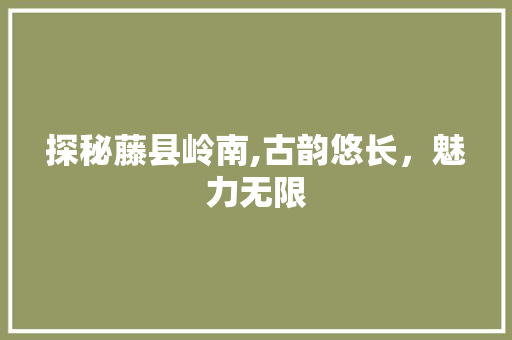 探秘藤县岭南,古韵悠长，魅力无限