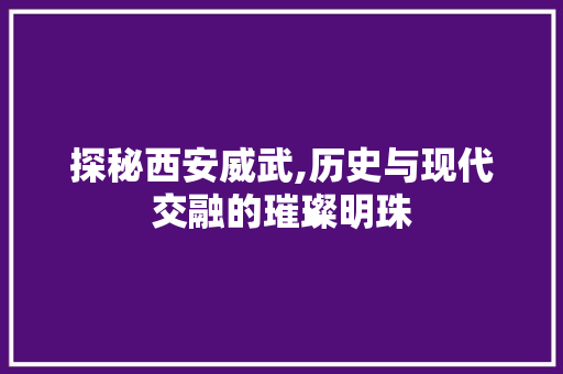 探秘西安威武,历史与现代交融的璀璨明珠