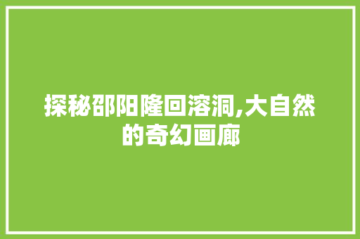 探秘邵阳隆回溶洞,大自然的奇幻画廊