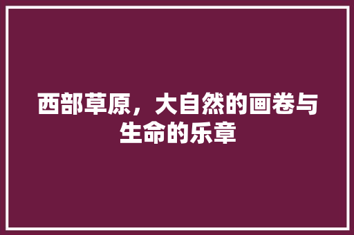 西部草原，大自然的画卷与生命的乐章