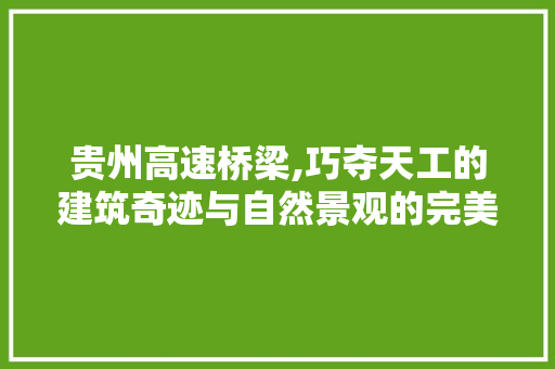 贵州高速桥梁,巧夺天工的建筑奇迹与自然景观的完美融合