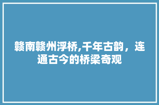 赣南赣州浮桥,千年古韵，连通古今的桥梁奇观