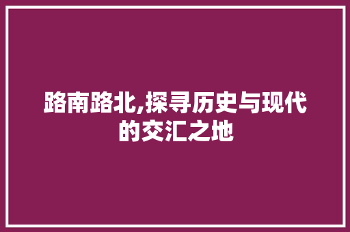 路南路北,探寻历史与现代的交汇之地