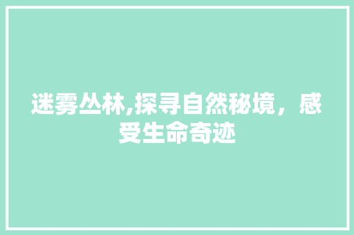 迷雾丛林,探寻自然秘境，感受生命奇迹