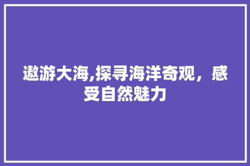 遨游大海,探寻海洋奇观，感受自然魅力