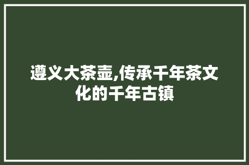 遵义大茶壶,传承千年茶文化的千年古镇