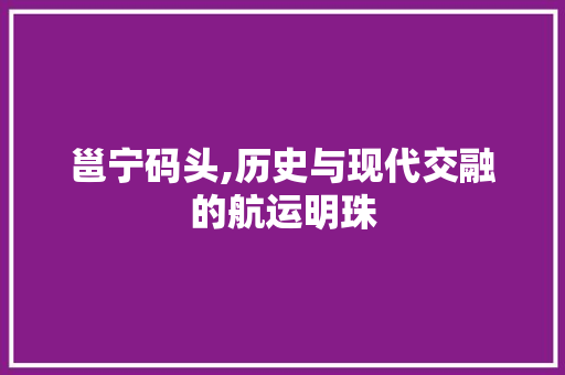 邕宁码头,历史与现代交融的航运明珠