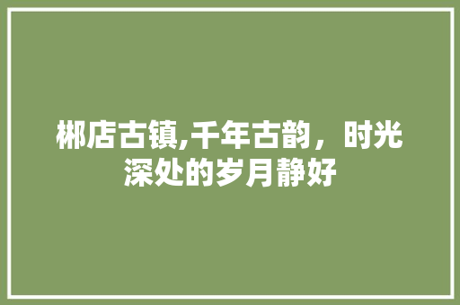 郴店古镇,千年古韵，时光深处的岁月静好