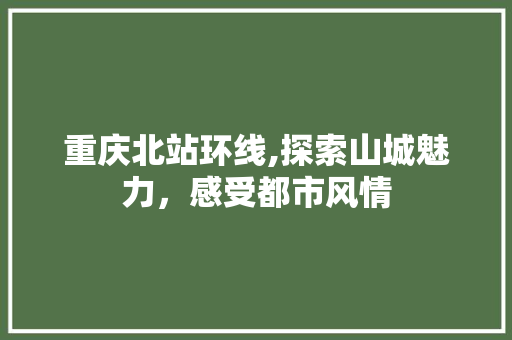 重庆北站环线,探索山城魅力，感受都市风情