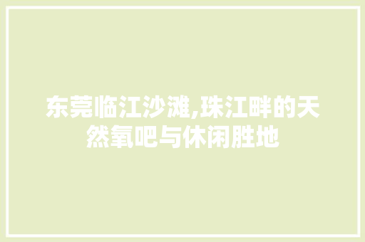 东莞临江沙滩,珠江畔的天然氧吧与休闲胜地