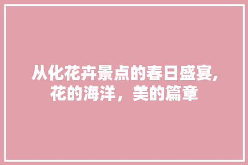 从化花卉景点的春日盛宴,花的海洋，美的篇章