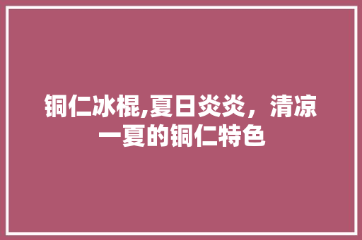 铜仁冰棍,夏日炎炎，清凉一夏的铜仁特色