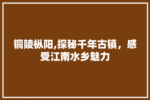 铜陵枞阳,探秘千年古镇，感受江南水乡魅力