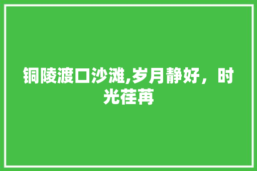 铜陵渡口沙滩,岁月静好，时光荏苒