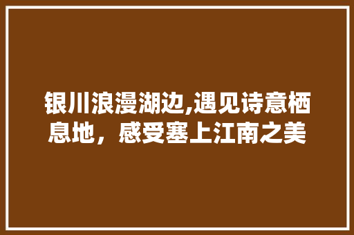 银川浪漫湖边,遇见诗意栖息地，感受塞上江南之美