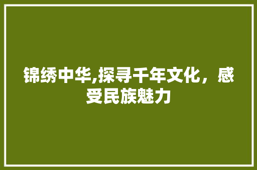 锦绣中华,探寻千年文化，感受民族魅力