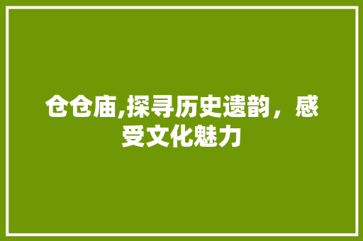 仓仓庙,探寻历史遗韵，感受文化魅力