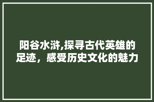 阳谷水浒,探寻古代英雄的足迹，感受历史文化的魅力