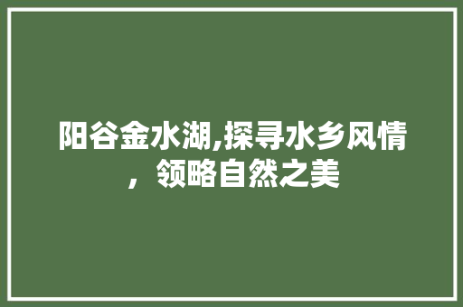 阳谷金水湖,探寻水乡风情，领略自然之美