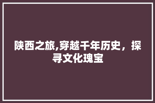 陕西之旅,穿越千年历史，探寻文化瑰宝