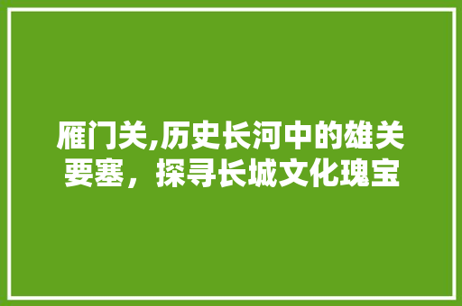 雁门关,历史长河中的雄关要塞，探寻长城文化瑰宝