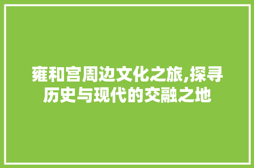 雍和宫周边文化之旅,探寻历史与现代的交融之地