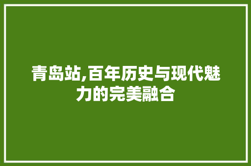 青岛站,百年历史与现代魅力的完美融合