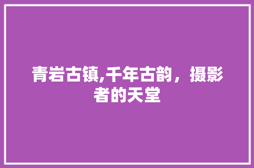 青岩古镇,千年古韵，摄影者的天堂