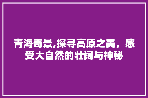 青海奇景,探寻高原之美，感受大自然的壮阔与神秘