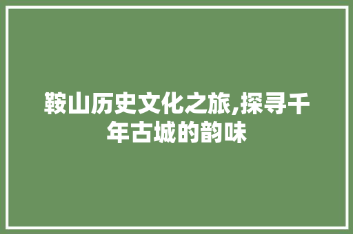 鞍山历史文化之旅,探寻千年古城的韵味