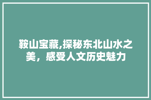 鞍山宝藏,探秘东北山水之美，感受人文历史魅力