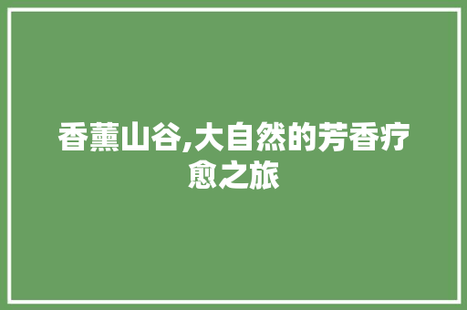 香薰山谷,大自然的芳香疗愈之旅