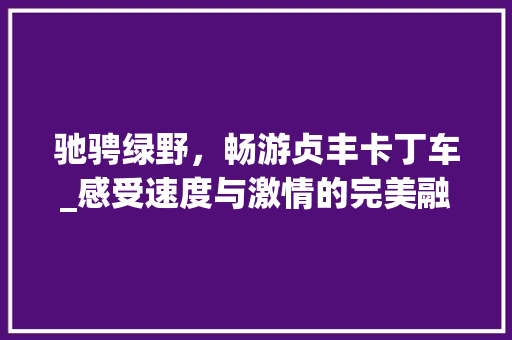 驰骋绿野，畅游贞丰卡丁车_感受速度与激情的完美融合