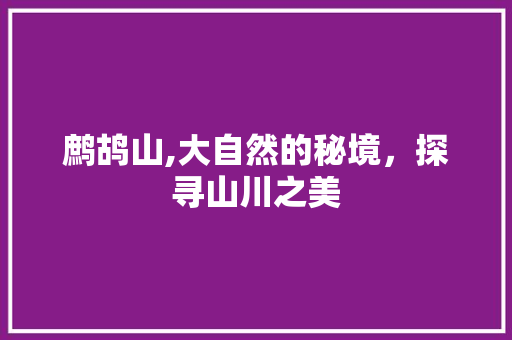 鹧鸪山,大自然的秘境，探寻山川之美