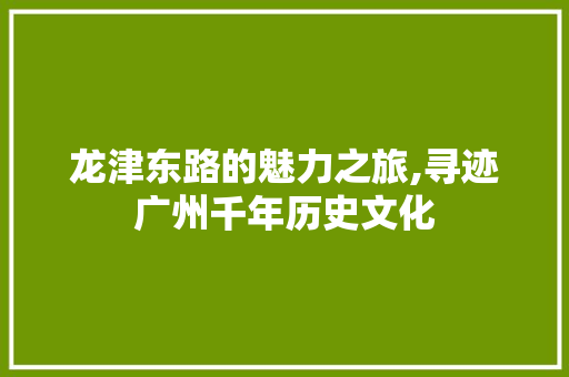 龙津东路的魅力之旅,寻迹广州千年历史文化