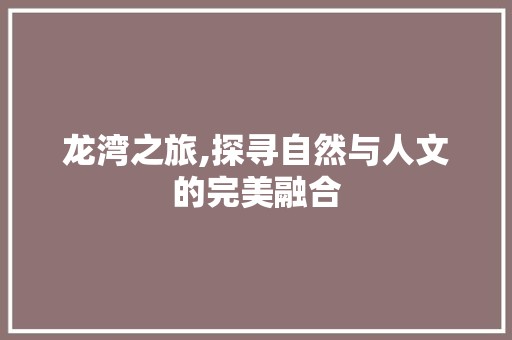 龙湾之旅,探寻自然与人文的完美融合