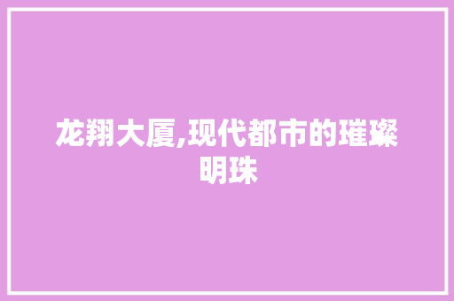 龙翔大厦,现代都市的璀璨明珠