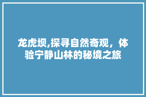 龙虎坝,探寻自然奇观，体验宁静山林的秘境之旅