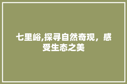 七里峪,探寻自然奇观，感受生态之美