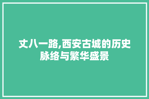 丈八一路,西安古城的历史脉络与繁华盛景